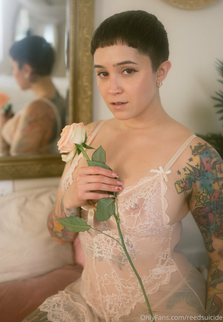 Jaclyn pornstar xxx img