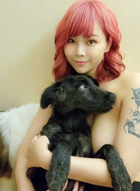 tw901173 star free gallery