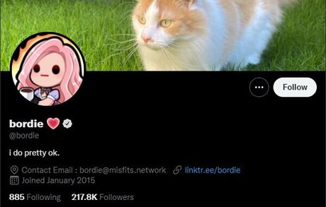 Itsbordie Bordie star sexy galleries