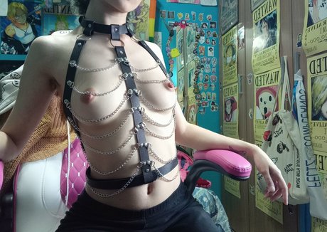 thelittlelaz free model gallery