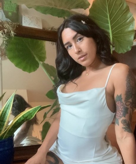 Lenamarisol art star galleries