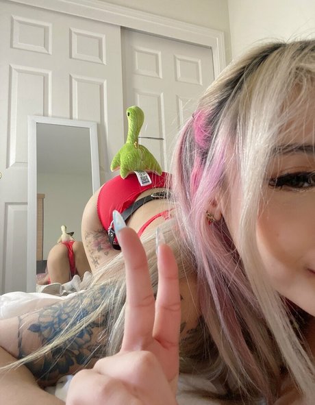 jelwy top star photo