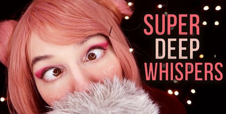 softlygaloshes art star galleries