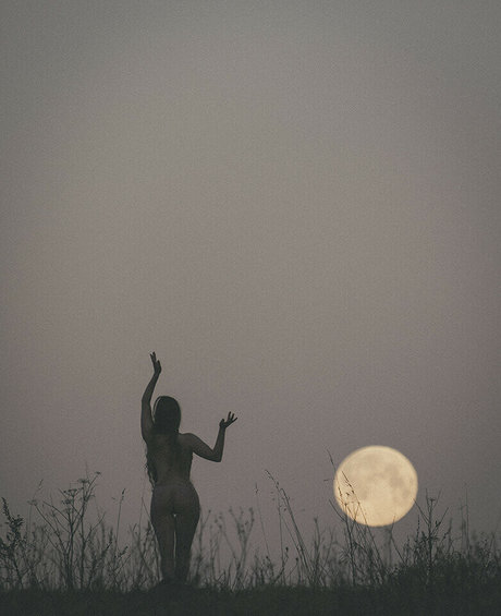 thinloth pornstar top images