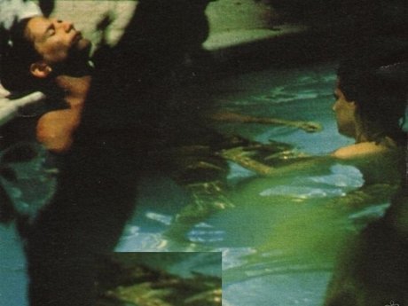 royals adult model pics