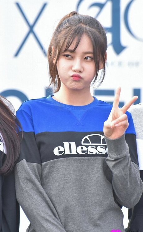 AOA Team pornstar sex galleries