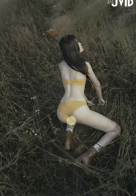 Catbb Meow hd star picture