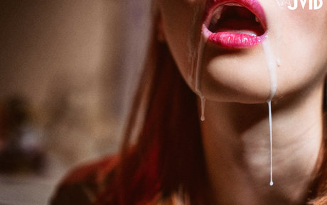 Catbb Meow nice star gallery