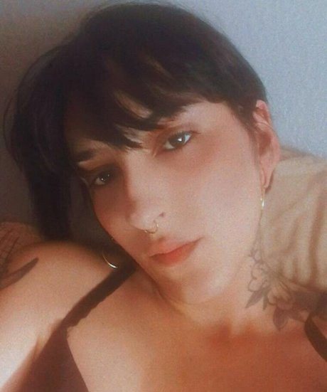 noplacetorun star perfect galleries