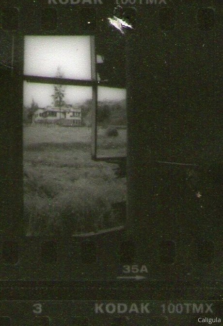 xxxcaligulaxxx nude star pics