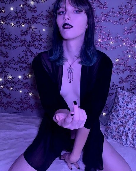 Starlite Anise star xxx image