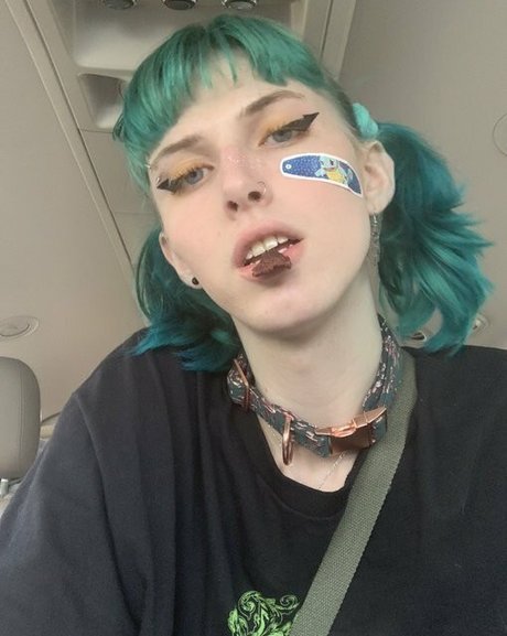 Starlite Anise star beautiful pic