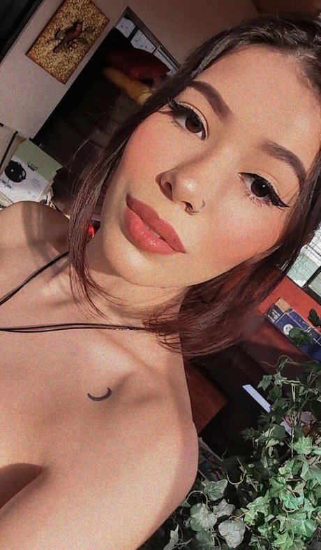 Anmongero nice star galleries