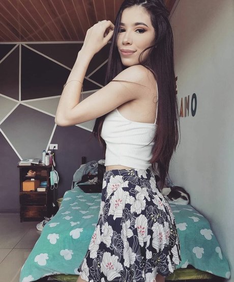 Anmongero model top images