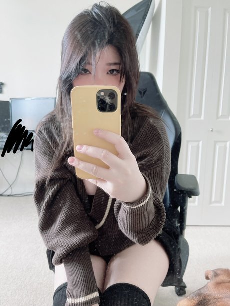 Anikauwu model top image