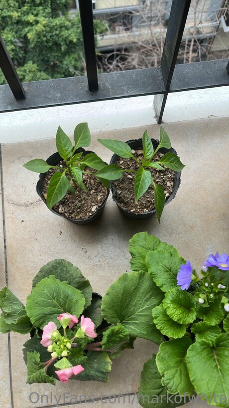 Markofwhite top actress gallery