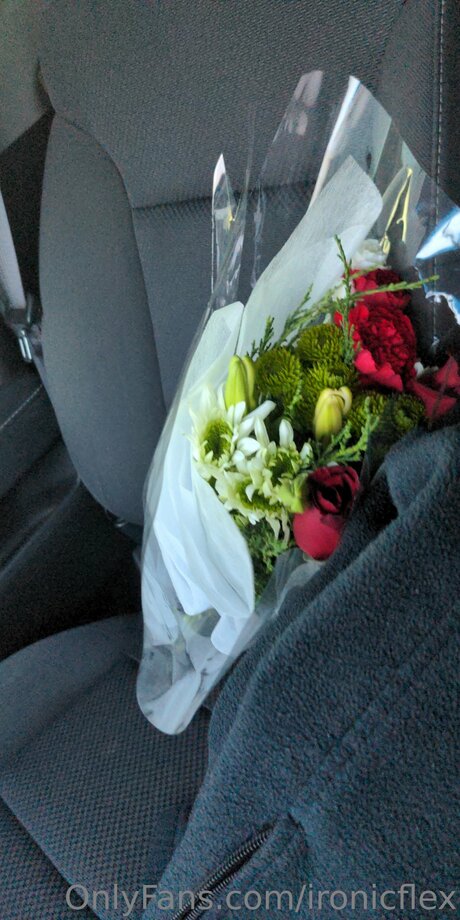 Ironicflex best star img