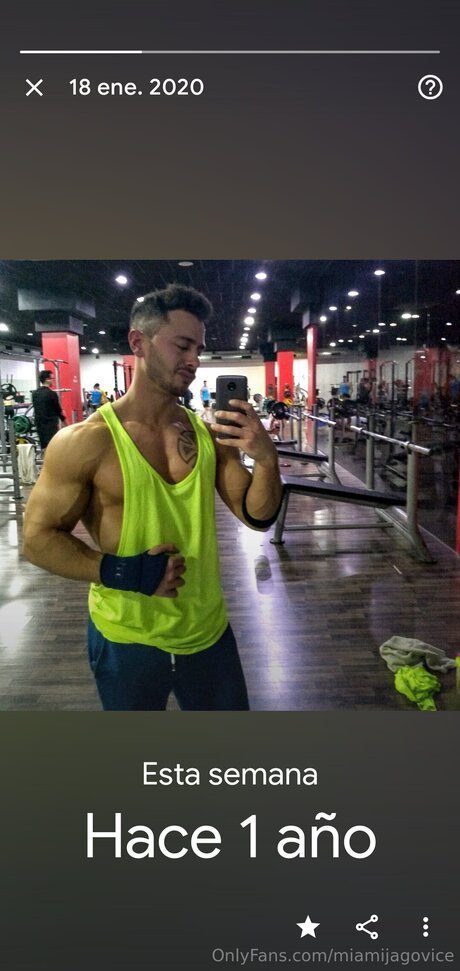 Miamijagovice porn star pictures