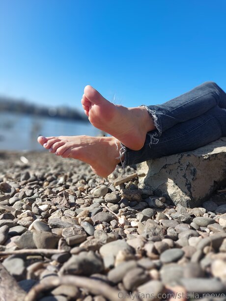 Stella Reeve star free galleries