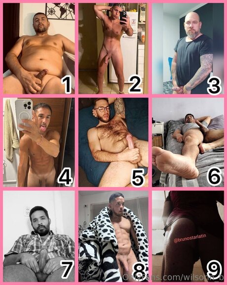 Wilsonn B model naked archive