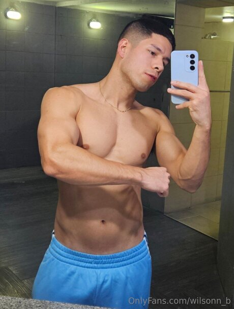 Wilsonn B adult star img