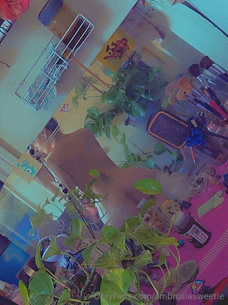 Ambrosiasweetie model xxx galleries