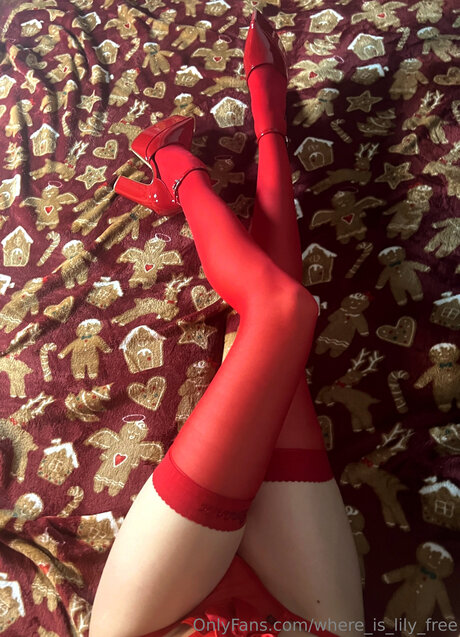 Where Is Lily Free pornstar sexy pictures