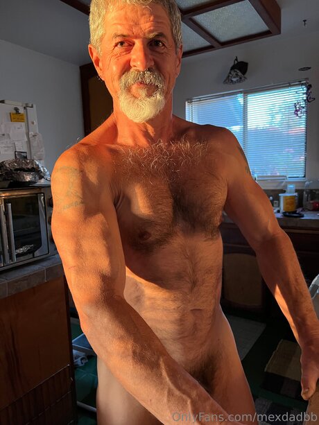 Mexdadbb model top img