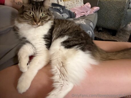 Ilovepussycats111 model hd pics