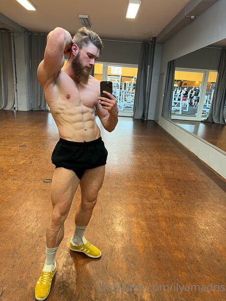 Ilyamadris pretty star archive