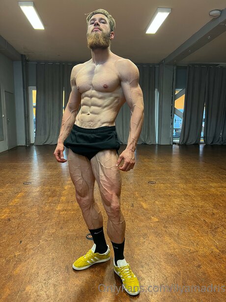 Ilyamadris art star archive