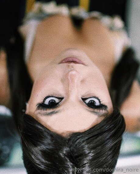 Domira Noire nice star galleries