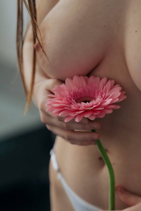 Inlikoris pornstar perfect img