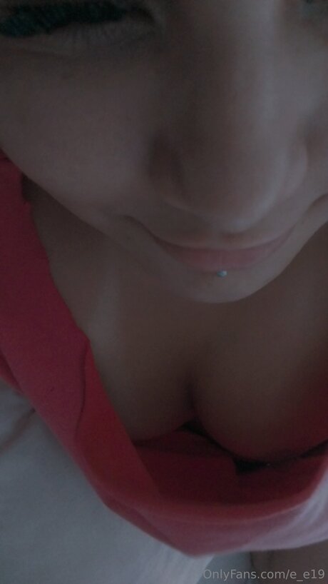 E E19 model xxx image