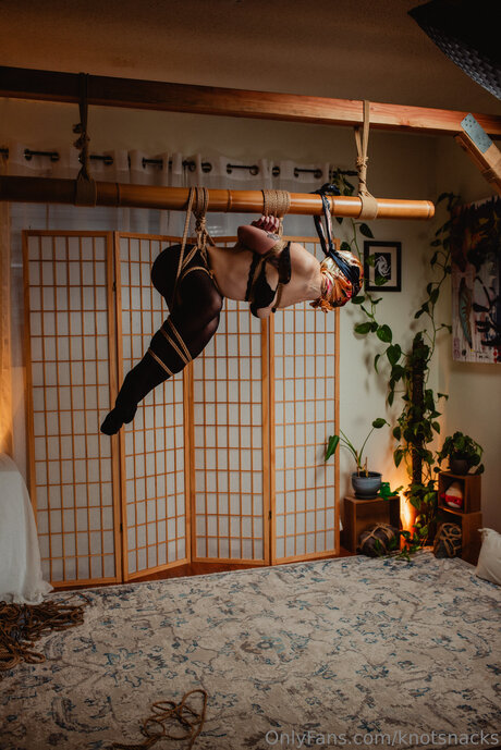 Knotsnacks star top image