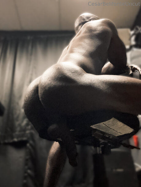 Cesarbelifonteuncut pornstar best img