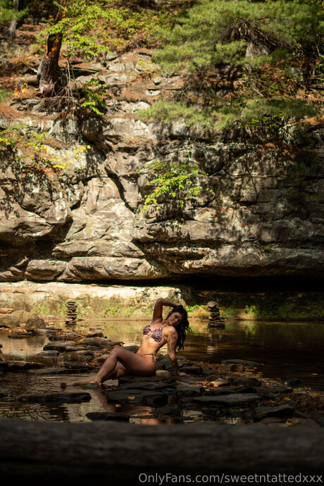 Sweetntattedxxx top actress img