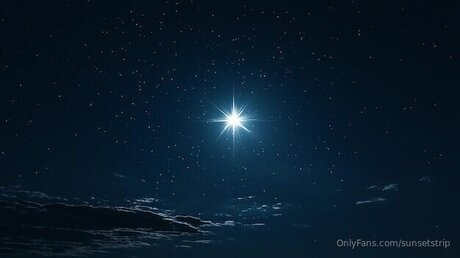 Sunsetstrip model top images