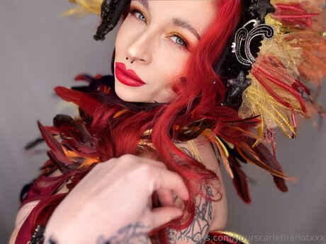 Yourscarletharlotxxx best actress image