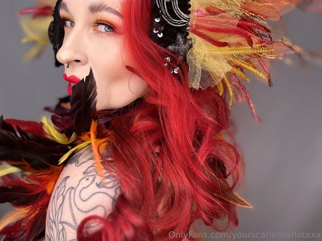 Yourscarletharlotxxx top star galleries