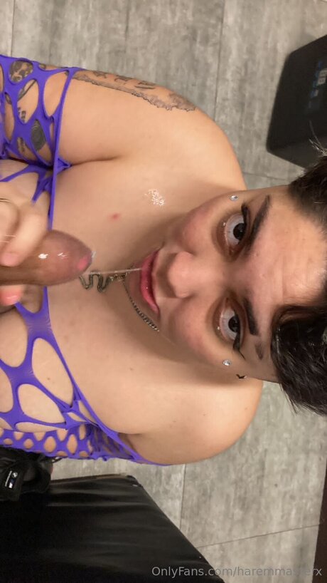 Haremmasterx hot star archive