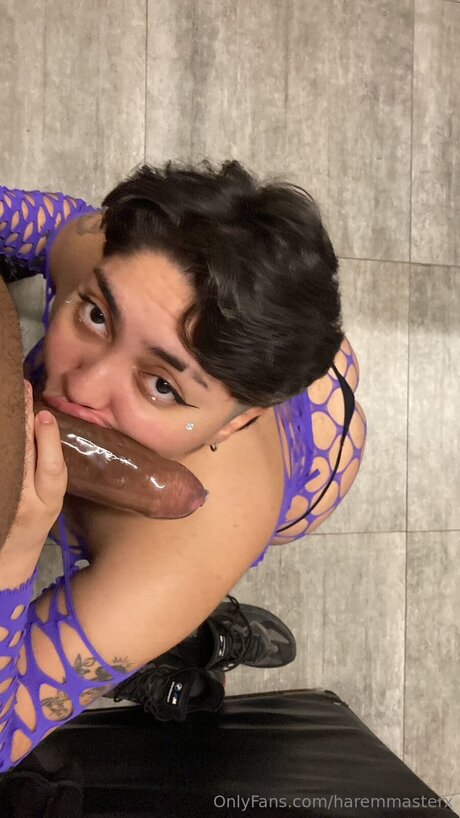 Haremmasterx adult model gallery