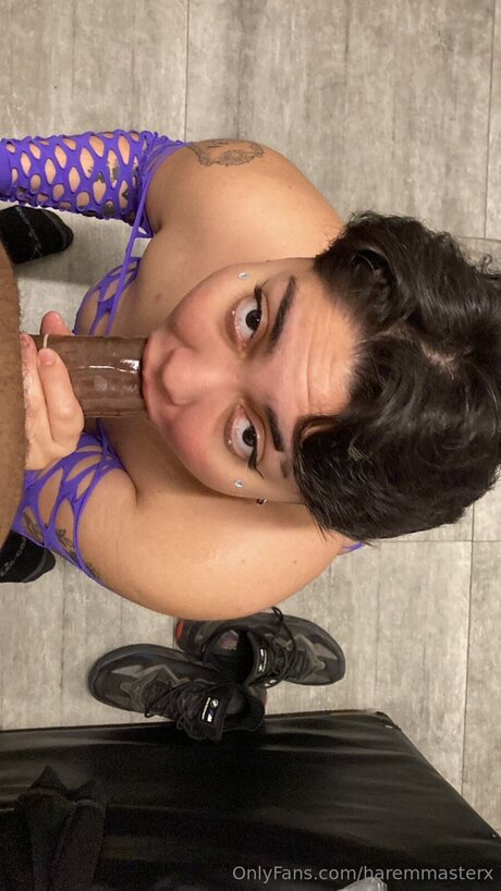 Haremmasterx model porn galleries