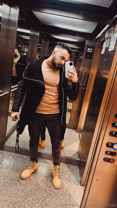 Brandonmor art star gallery