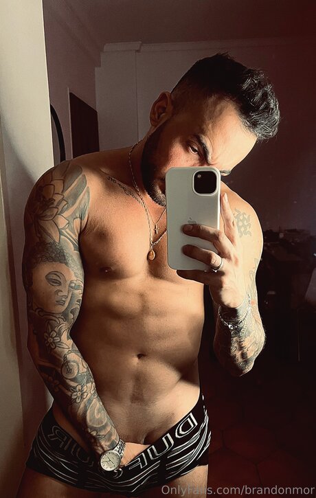 Brandonmor free pornstar galleries