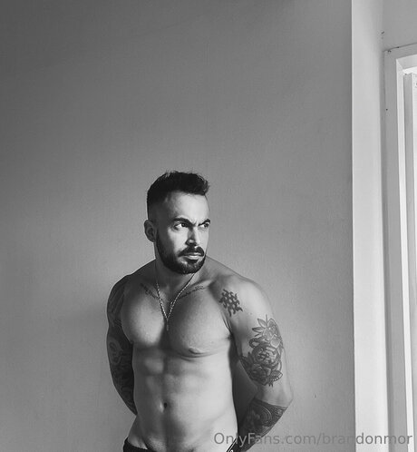 Brandonmor naked star pics