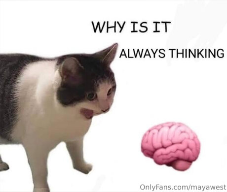 Mayawestfree star pretty images