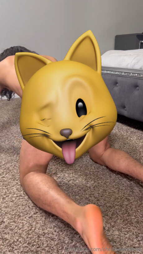 Chrissenpaibro erotic pornstar archive