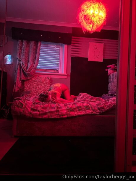 Taylorbeggs Xx adult actress pics