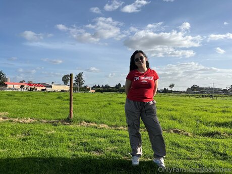 Paulidee star free galleries